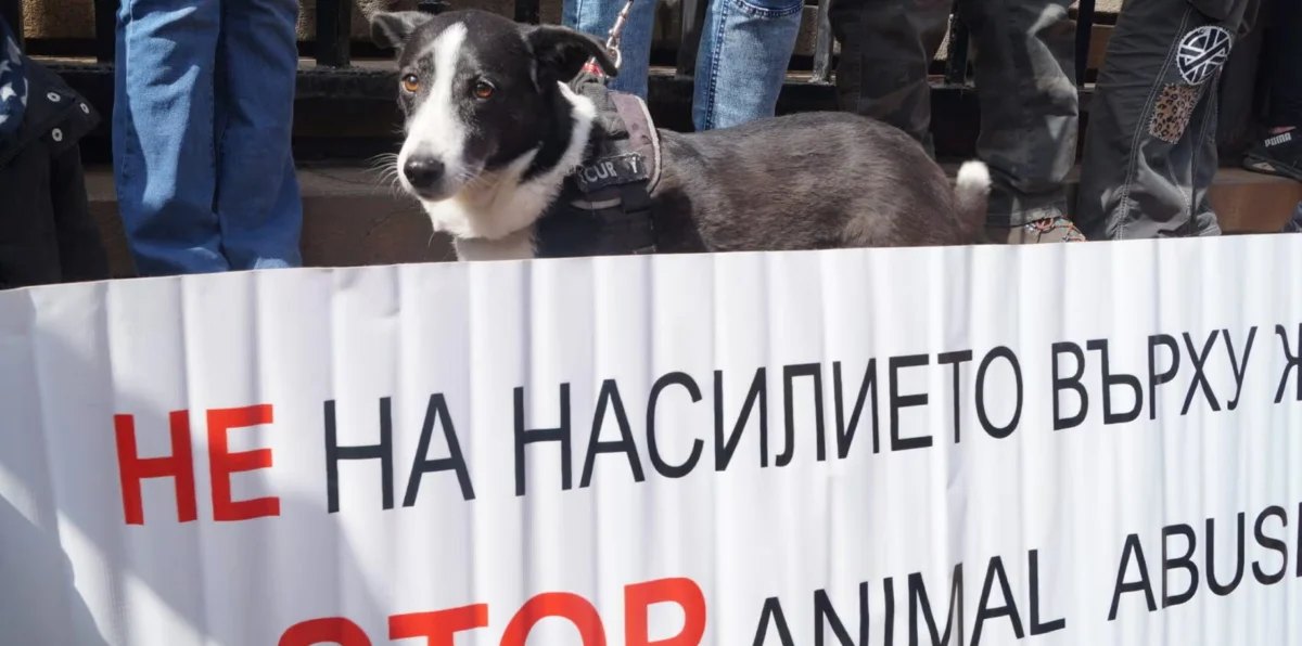 ministarat-efremova-predstoi-tsyalosten-pregled-na-sotsialnite-plashtaniya