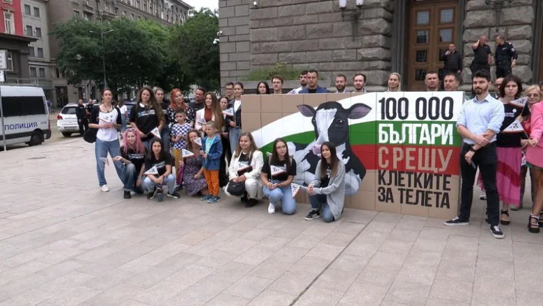 Протест пред парламента срещу отглеждането на телета в клетки