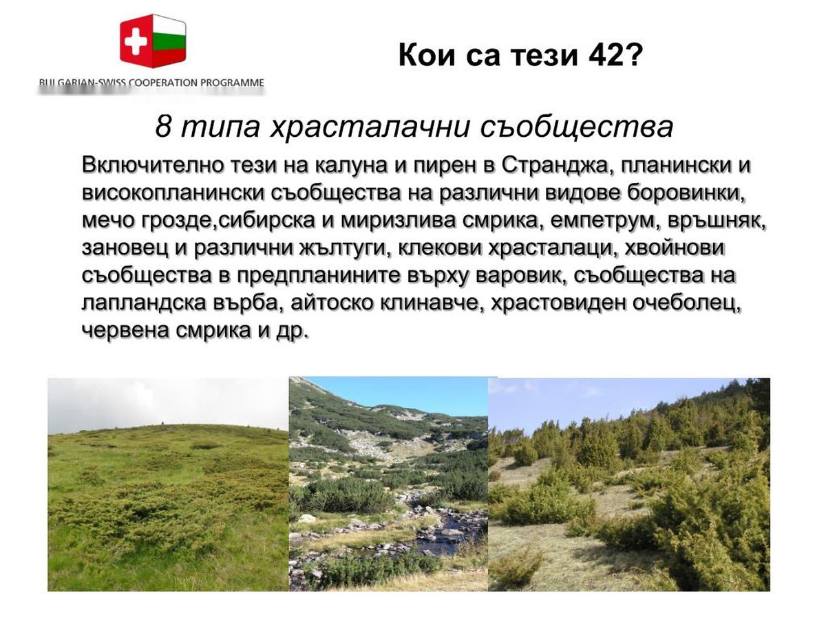 v-montana-predstavyat-evropeyskata-ekologichna-mrezha-natura-2000-pred-uchenitsi