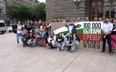 Протест пред парламента срещу отглеждането на телета в клетки