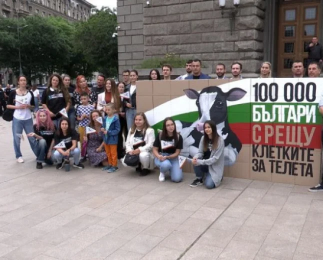 Протест пред парламента срещу отглеждането на телета в клетки