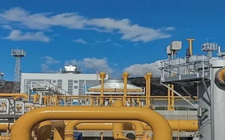 „Булгартрансгаз“ увеличава капацитетите за пренос на пр