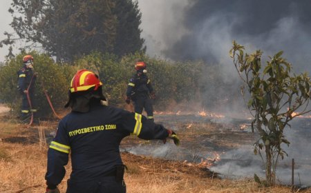 Пожари горят в Гърция заради високи температури и вятър
