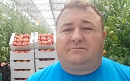 Зеленчукопроизводители настояват за спешна среща с министъра на земеделието заради срив на цената на ранното зеле