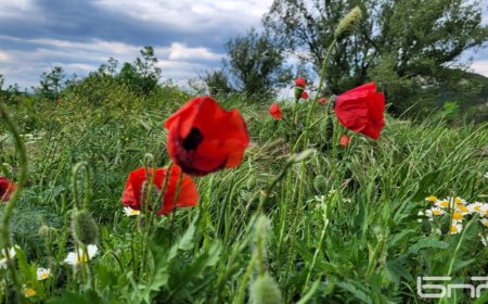 Времето днес: Слънчево, но с краткотрайни валежи и гръмотевици в западната част на страната