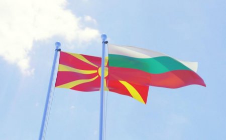 „Кракът ми се парализира“: Жена с двойно гражданство твърди, че СМР не ѝ позволява да се лекува в България