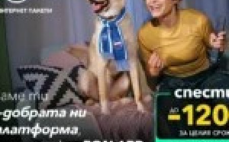 EON APP: модерната телевизия без приемник и с повече стойност за всички потребители