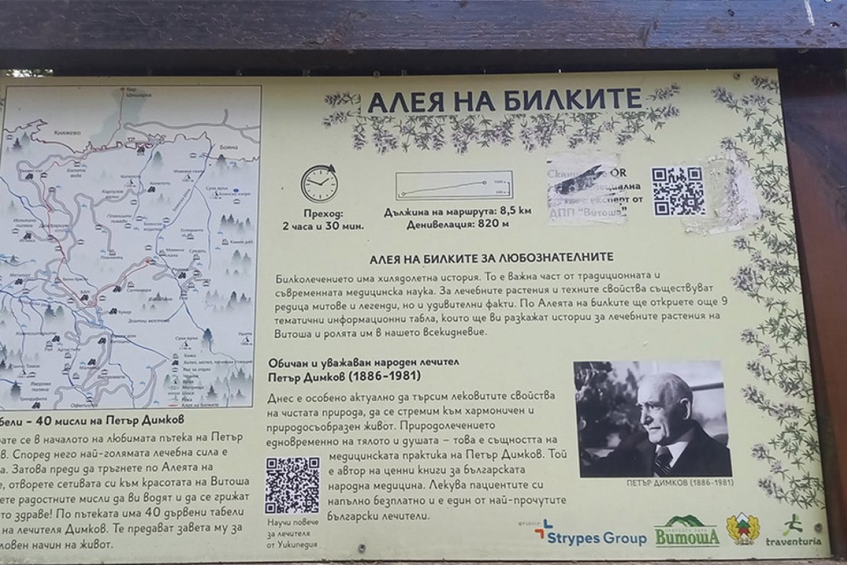 Еньовден: Природен парк „Витоша“ напомня за „Алеята на билките“