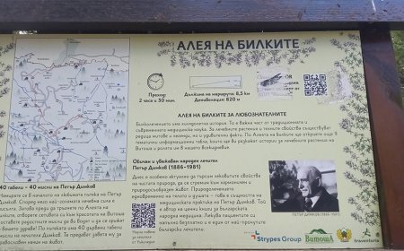 Еньовден: Природен парк „Витоша“ напомня за „Алеята на билките“