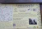 Еньовден: Природен парк „Витоша“ напомня за „Алеята на билките“