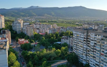 Обработка срещу комари тази вечер в район „Младост“