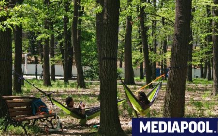 Забавяне на плана за Борисовата градина заради спор за стадион и паркинги