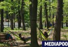 Забавяне на плана за Борисовата градина заради спор за стадион и паркинги