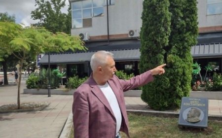 Община Монтана засилва контрола върху неправилното паркиране и разчиства зелени площи