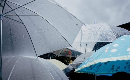 НИМХ пуска платформа, която може да ни „спаси деня“ при опасно време – rss.news1.bg
