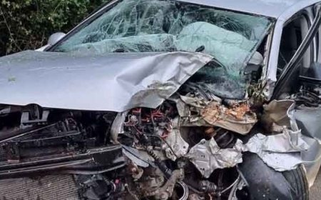 Смело сърце! 16-годишен подкара нередовен „Голф“ в Монтанско и катастрофира, отнесе редица глоби