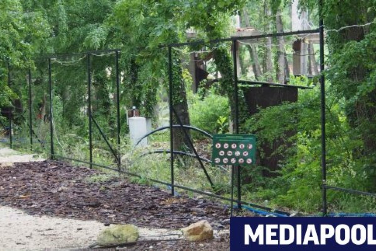Йордан Терзийски от ПП обвини баща на евродепутат от ГЕРБ в съдружие с украински бизнесмен в Баба Алино