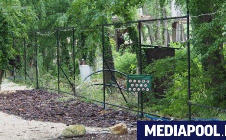 Йордан Терзийски от ПП обвини баща на евродепутат от ГЕРБ в съдружие с украински бизнесмен в Баба Алино