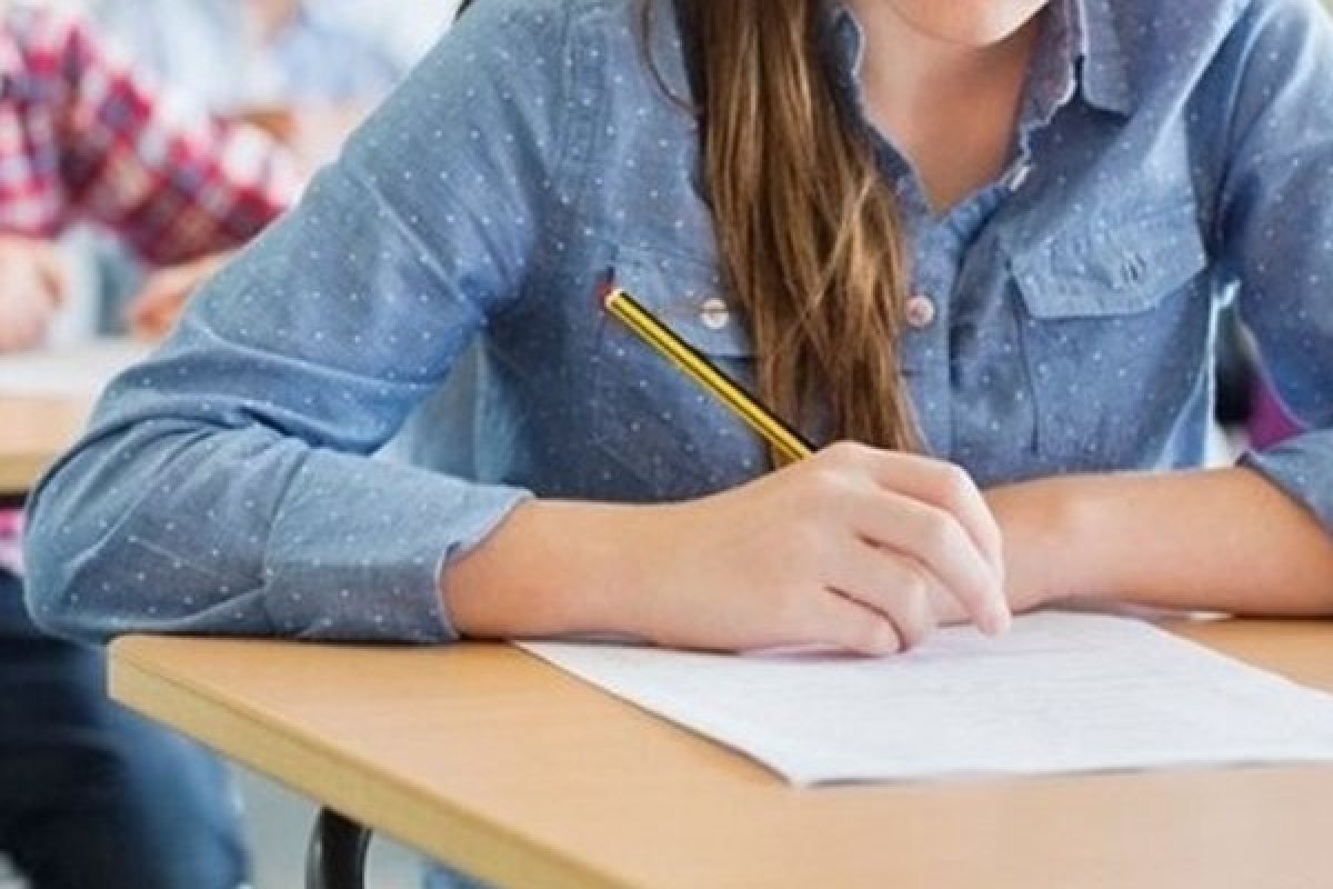 Резултатите от НВО в края на 4. клас вече са достъпни онлайн