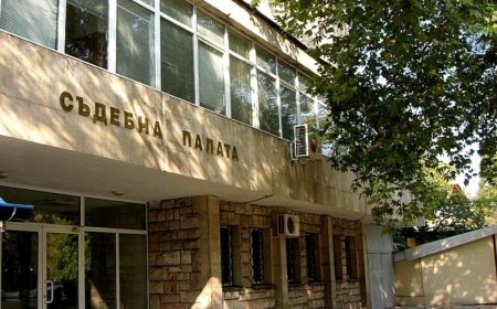 Съдът остави в ареста младеж, задигнал храна и алкохол от магазин в Монтана