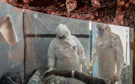 Ебола за първи път в Европа: Лекар във Франция е заразен