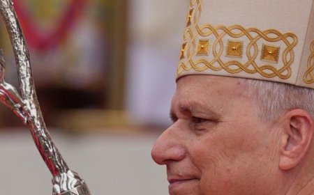 Папа Лъв XIV осъди трафика на хора и призова за законни миграционни пътища