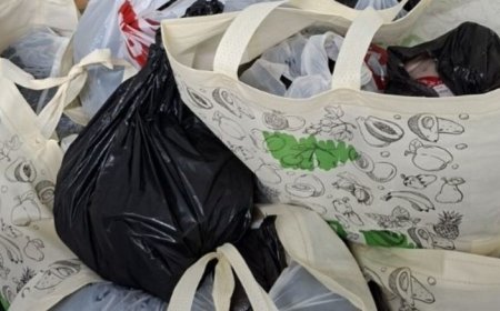 Над половин тон животински продукти иззе БАБХ на границата