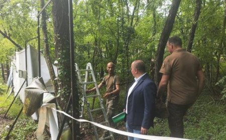 Съдът за Баба Алино: Имотите имат статут на горска територия