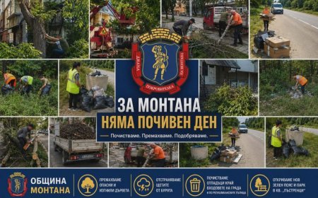 Вчера беше денят на инициативата „Да изчистим България