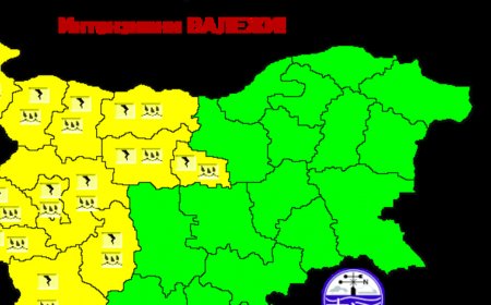 НИМХ обяви жълт код за интензивни валежи в 12 области в Западна България
