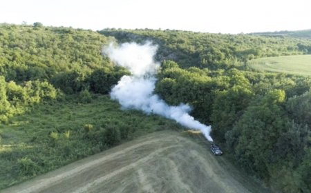 Масова обработка срещу комари тази вечер в Кюстендил