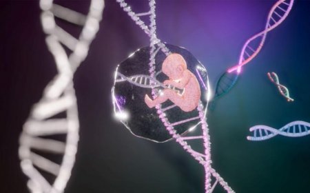 Учени създадоха изкуствен човешки ембрион, способен да развива собствени органи
