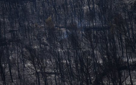 Голям горски пожар бушува в департамента Од във Франция