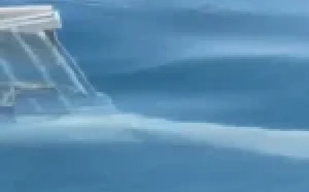 Военноморските сили унищожиха дрейфащ дрон край Кранево