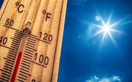 Жълт код за опасно горещо време в 14 области на страната в неделя