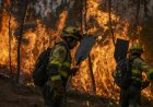 Горски пожар в Арагон наложи евакуацията на 185 души