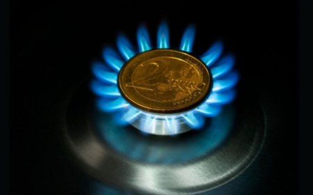 Германия подготвя стратегически газов резерв за до 1,5 млрд. евро