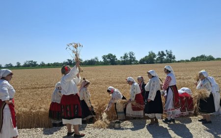 Жътвена кампания 2026 бе открита в землището на село Мадан