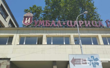 Дванадесетгодишно дете с апластична анемия заминава за трансплантация в Германия