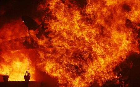 Пожар в изоставена лавандулова нива край Гурко е локализиран от пожарната