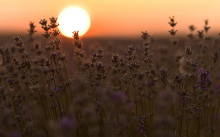 Слънчево време с купеста облачност и краткотрайни превалявания в отделни райони