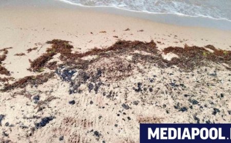 Мазутно замърсяване по Черноморието е старо, няма данни за скорошен разлив