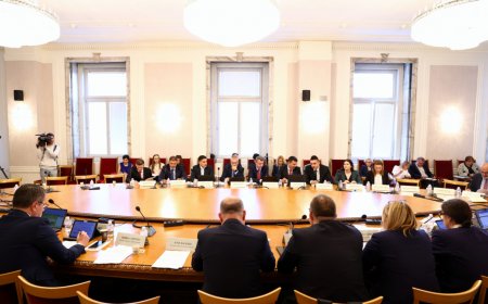 ПБ оглавява 15 от 24-те постоянни комисии в 50-ото НС