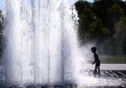 Абсолютни температурни рекорди в Чехия, Германия и Дания при горещата вълна в Европа