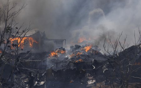 Голям горски пожар в Атика: 120 пожарникари и десетки самолети се борят с огъня