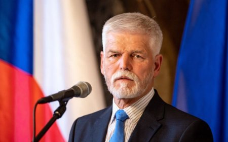 Президентът на Чехия няма да оглави делегацията на страната на срещата на върха на НАТО в Турция
