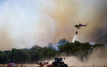 Голям горски пожар в североизточна Испания унищожи над 2000 хектара