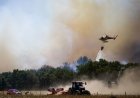 Голям горски пожар в североизточна Испания унищожи над 2000 хектара
