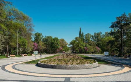 Инициатива „Спорт в парка“ стартира в Димитровград за хора над 65 години