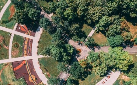 Втора обработка срещу комари ще се проведе в Монтана на 6 юли